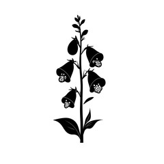 Wall Mural - Black silhouette of a flowering plant with bell-shaped blooms.