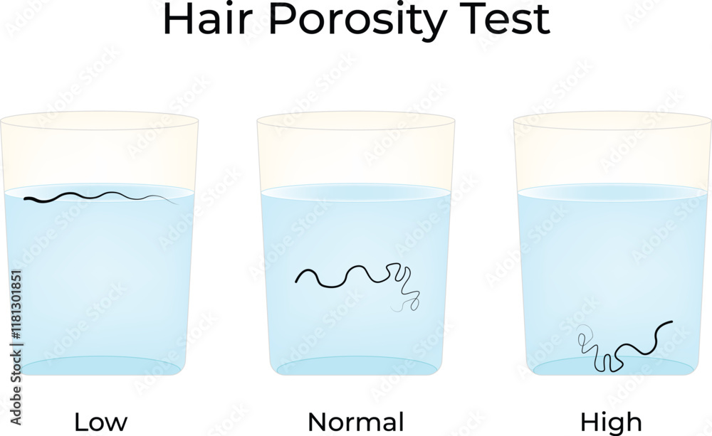Hair Porosity Test Science Design Vector Illustration Diagram Stock ...