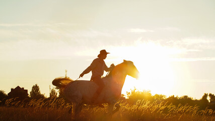 The silhouette of a man in a cowboy costume riding a horse in the golden setting sunlight