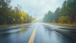 © huhu - Wet asphalt road through autumn forest with rainbow after rain.