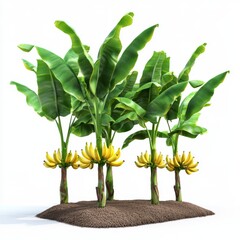 Wall Mural - Lush Banana Plant Group Surrounded by Rich Soil with Bright Yellow Bananas Hanging from Healthy Green Leaves