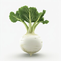 Wall Mural - Fresh White Radish with Green Leaves on a Plain White Background for Healthy Eating and Cooking