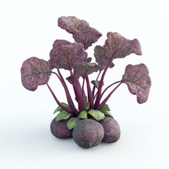 Wall Mural - Fresh and Vibrant Beetroot Plants with Rich Purple Leaves and Bulbs on a White Background