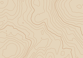 Leinwandbilder - Topographic map background with altitude lines. Abstract terrain topography with elevation levels of the relief