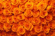 © KeteOne - orange roses background for wedding decoration