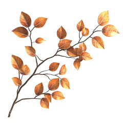 Wall Mural - Autumnal Branch: A Study in Golden Hues