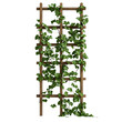 © xadartstudio - Wooden Trellis Covered in Lush Green Ivy