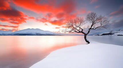 Poster - A lone tree in the middle of a snowy lake