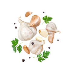 Canvas Print - Levitate garlic with parsley leaves and allspice close up in the air, isolated on a white background