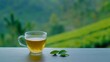 © Khalida - Warm cup of tea alongside organic green tea leaves resting on a wooden table with a vibrant tea plantation in the background