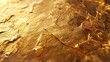 © Nikola - Close-up macro shot of a gold medal surface with intricate details.