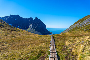 Wall Mural - Kvalvika Beach, Lofoten Island, Norway