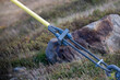 © Dolores  Harvey - A guy wire secured to the ground from a distribution utility pole. The galvanized wire is wrapped in a yellow insulator covering. The anchor and tensioned stability cables are connected to a hook.