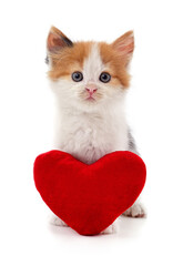 Wall Mural - Kitten with toy heart.