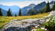 © Genevieve - ground level angle view close up surface of rough granite with a floral inspired alpine meadow background blurred edelweiss and mountain pines copy space ad promo template fresh floral tones