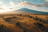 Majestic Mount Kilimanjaro rises above the golden savanna at sunrise, showcasing nature's stunning beauty and tranquility