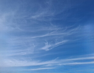 Wall Mural - amazing cirrus clouds on the blue sky. winter. January
