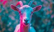 © Valentyna - Goat with a pinkish face is staring at the camera. The image has a dreamy, surreal quality to it, with a mix of blue and pink colors