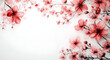 © CHAIYAPHON - cherry blossom sakura on white, watercolor style