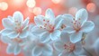 © zongyi - white flowers bokeh background serene elegant peaceful remembrance sympathy tribute memorial grief solace beauty calmness purity nature