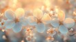 © zongyi - white flowers bokeh background mourning condolence elegant peaceful serene tribute memorial grief natural beauty
