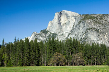 Wall Mural - yosemite valley state