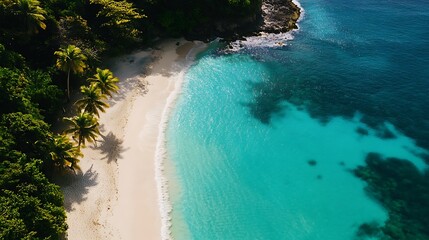 Wall Mural - Aerial View of Secluded Tropical Beach Paradise