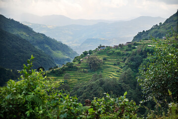 nepal, viewpoint from mardi himal trek. lush terraced rice fields.