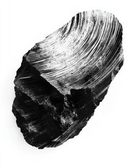 Fototapete - Abstract black and white textured stone.