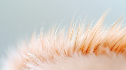 Wall Mural - delicate brown feather lays on a smooth white surface, creating a serene moment next to the soft fur