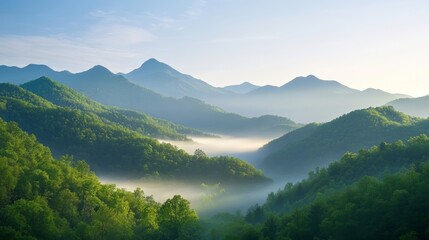 Poster - landscape with fog