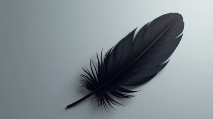 Aufkleber - A Single Dark Feather on a Light Background Elegant Minimalist Design