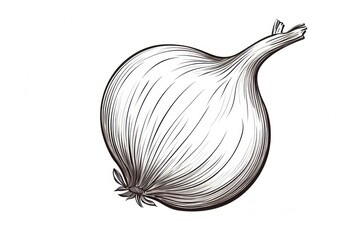 Canvas Print - Onion vegetable drawing food.