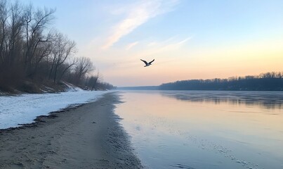 Wall Mural - Winter river sunset, bird flying, snow, calm