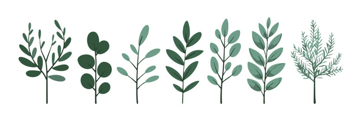 Set of tree and leaf collection hand drawn flat design vector element. botanical set of bare trees and ones with leaves and lush green