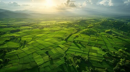 Poster - view of field