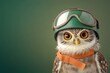© milkyway - Curious Owl Donning Protective Helmet Against Vibrant Backdrop