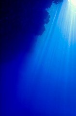 Wall Mural - Cathedrals of light. Artistic underwater photo of magic rays of sunlight. Scuba diving. 