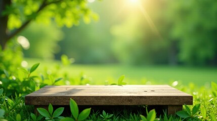 Aufkleber - Serene Wooden Platform in a Lush Green Meadow with Sunlight