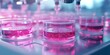 © Nijat - Cell culture methods showcased in a medical laboratory setting highlight the significance of cell culture in advancing medicine and understanding cellular processes within the field.