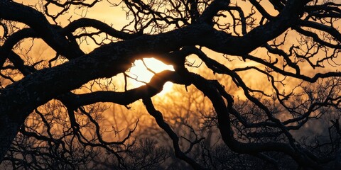 Aufkleber - Black dry tree branches silhouetted against a twilight sun background create a dramatic contrast. The black dry tree branches evoke a sense of mystery in the fading light of the evening.