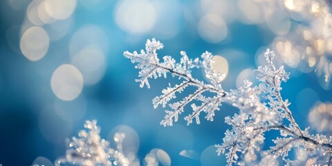 Poster - Abstract bokeh of winter snow creates a dreamy background. Snowflake close up details enhance the beauty of winter snow. Perfect for Christmas and New Year themes, with free space for text.