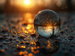 © ASPmedia - raindrop macro in golden sun rays . Generative AI