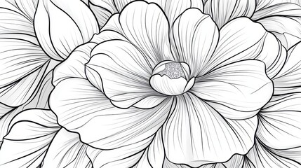 Wall Mural - Elegant line art of a blooming rose, sketched in continuous black strokes on a white background.