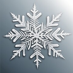 Wall Mural - Transparent white frost snowflake  isolated