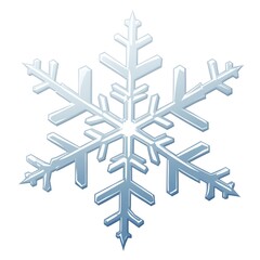 Wall Mural - Transparent white frost snowflake  isolated