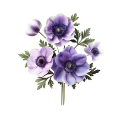 Wall Mural - Anemones isolated