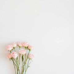 Aufkleber - Elegant Springtime Arrangement of Soft Pink Roses Against Minimalist White Background