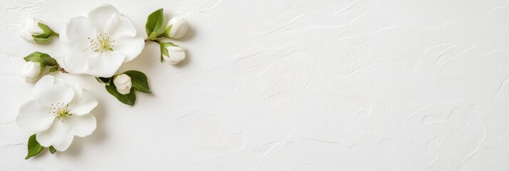 Aufkleber - Minimalist Springtime Blossom Arrangement on Textured White Background