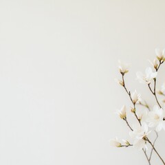 Aufkleber - Minimalist Botanical Elegance White Blossoms Against a Soft Background